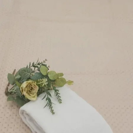 公寓 Donna Lia 贾迪尼-纳克索斯